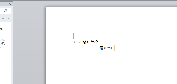 word貼り付け表示