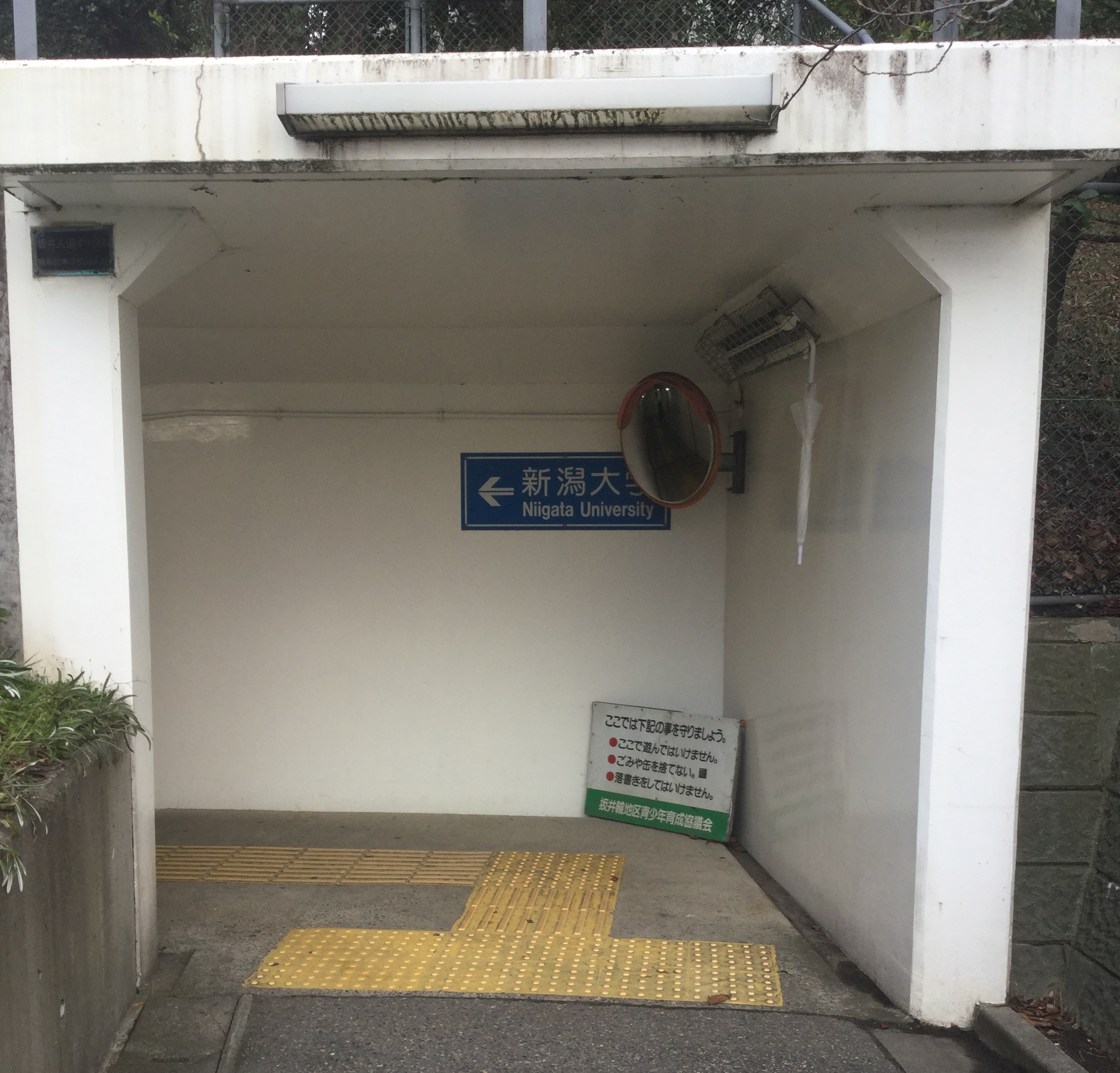 新潟大学前駅の白い通路